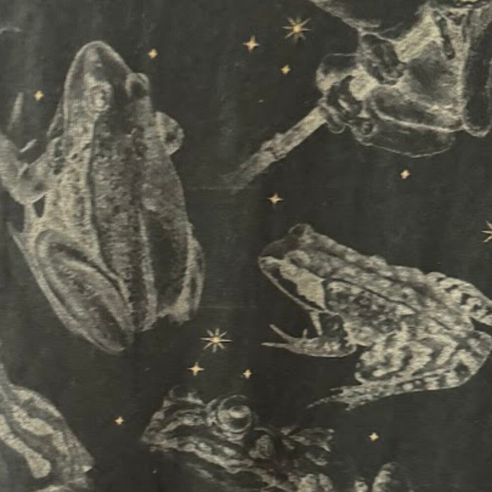 Dark Forest Green Frog Tee Shirt - Size Medium